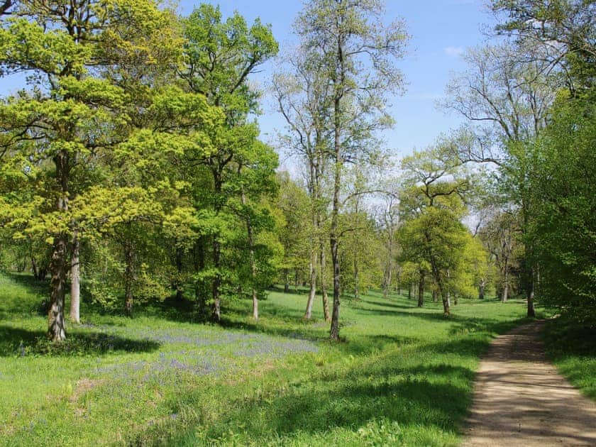 Footpath Chedworth Woods | Ivy Cottage, Chedworth, nr. Cheltenham