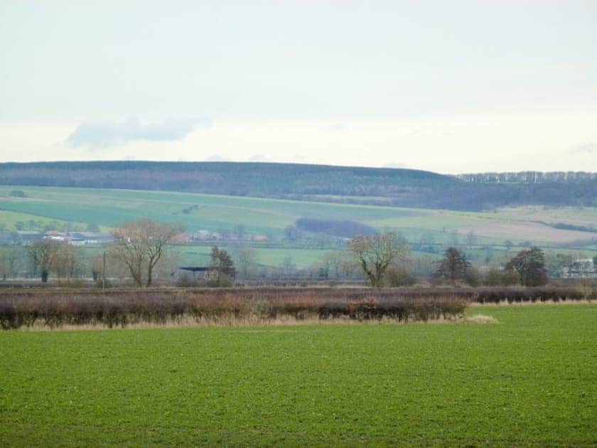 Surrounding area | Summertree Cottages - The Granary, near Thornton-le-Dale and Pickering