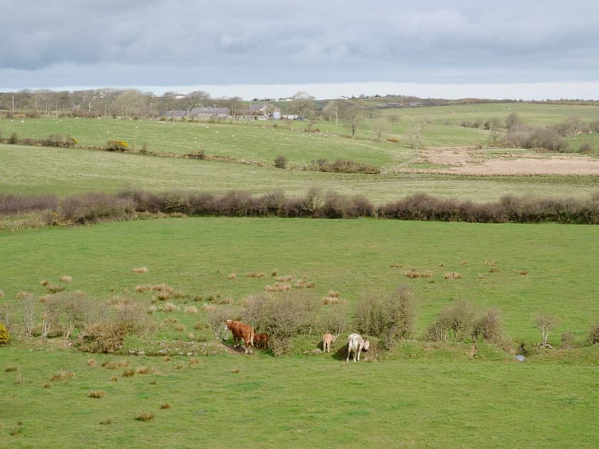 View | Melin Newydd Cottages - The Windmill, Tynlon, nr. Rhosneigr