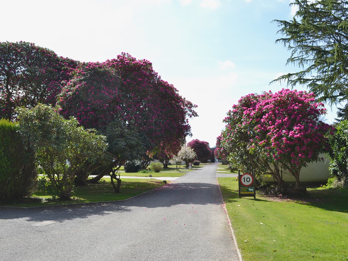 Rosecraddoc Holiday Village - Heligan