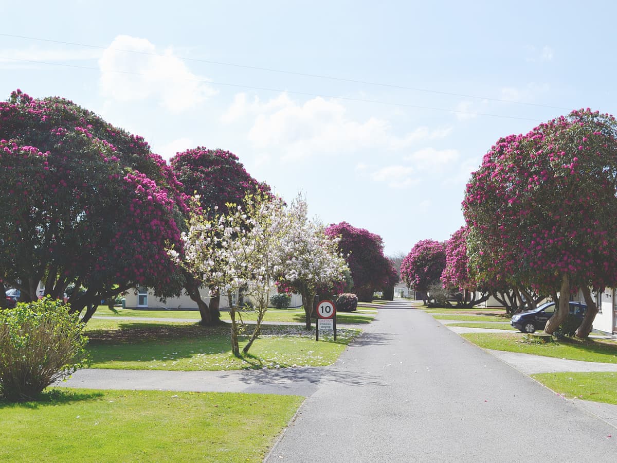 Rosecraddoc Holiday Village - Trebah