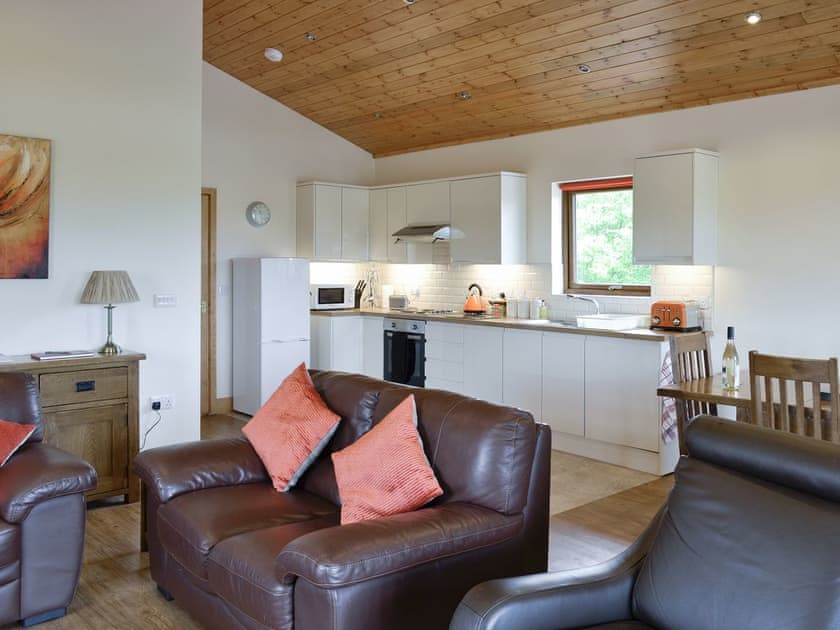 Open plan living/dining room/kitchen | Faulkers Lakes - Willow Lodge, Burgh le Marsh, nr. Skegness