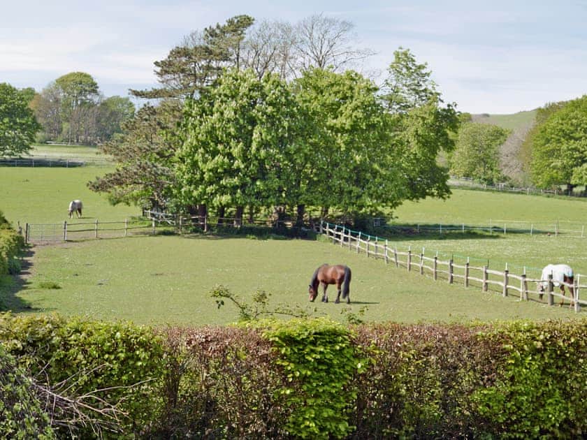 View | Darwin Cottage, Jevington