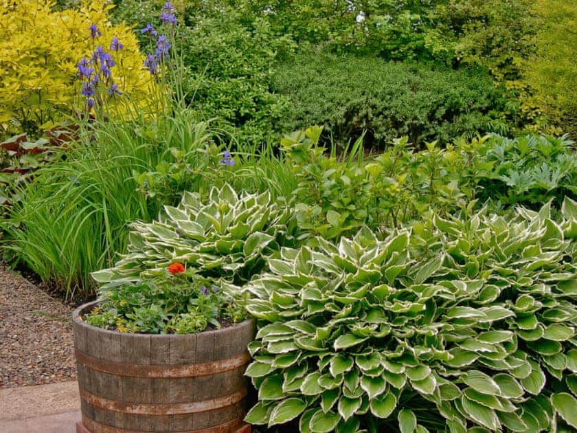 Garden and grounds | Leisure Hour, Hoveton, nr. Wroxham, Norwich