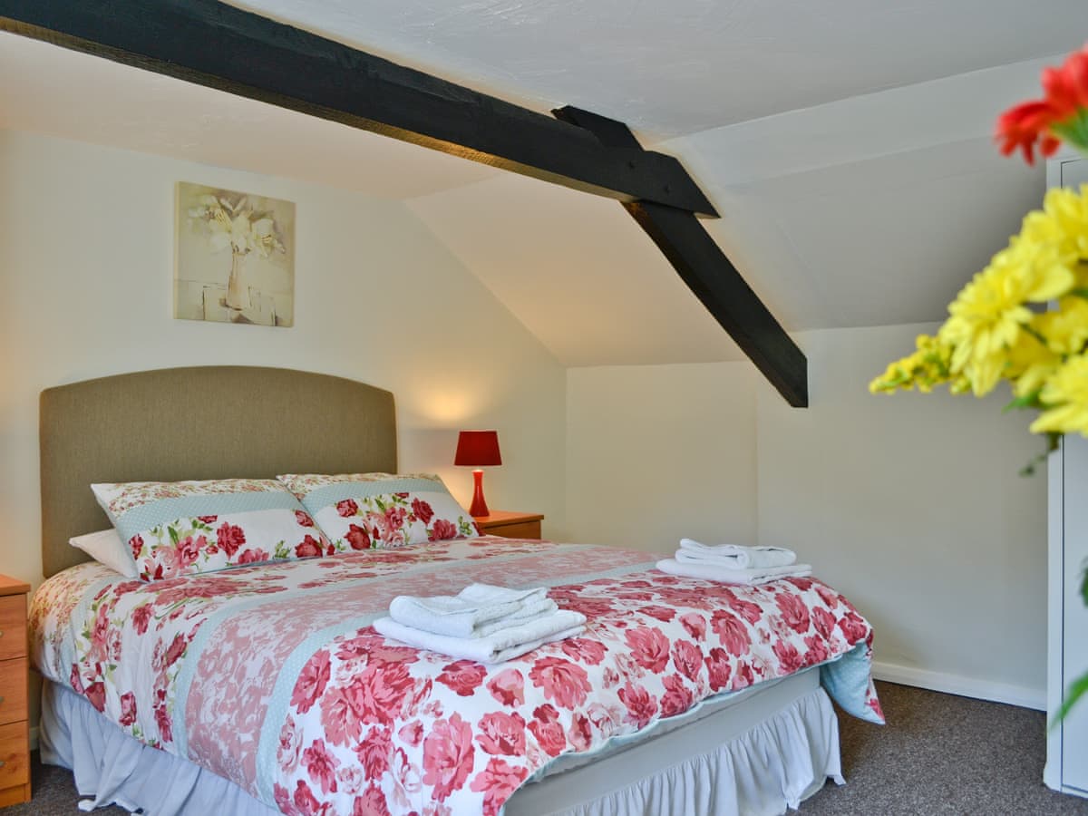 Riverton Lakes & Holiday Cottages -  The Lodge - Holiday lodge in South West England - Image 5