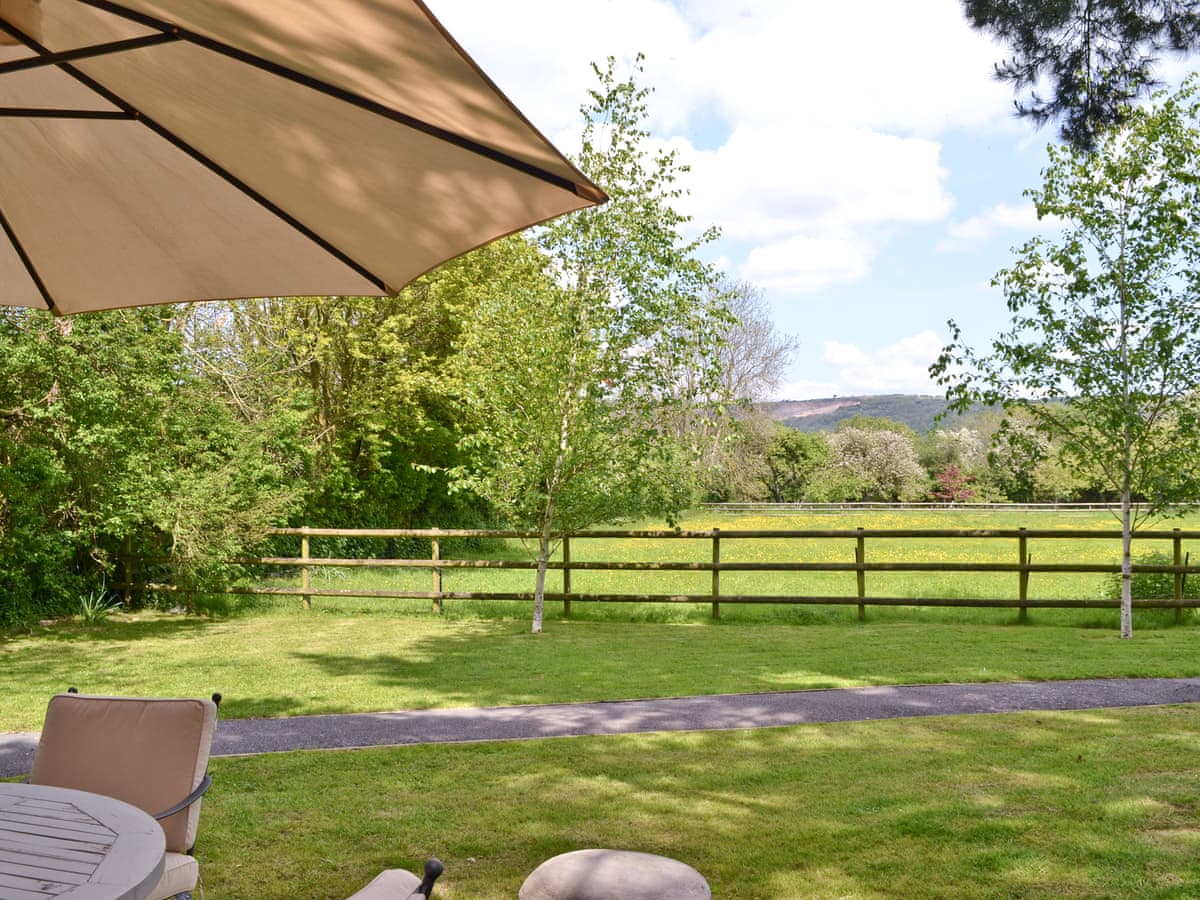 Barrowswood Cheddar - Strawberry Lodge - Holiday lodge in South West England - Image 4