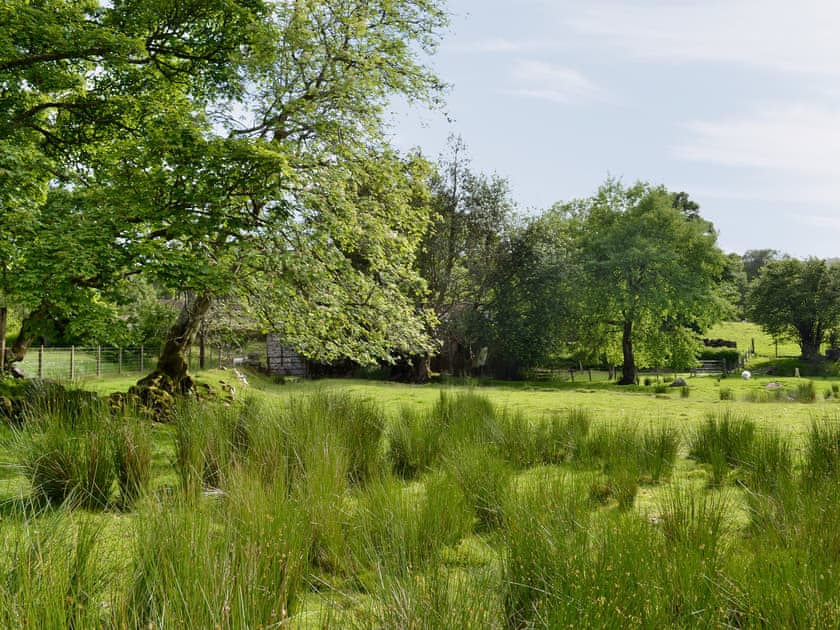 Surrounding area | Dol Afon, Llanuwchllyn, nr. Bala
