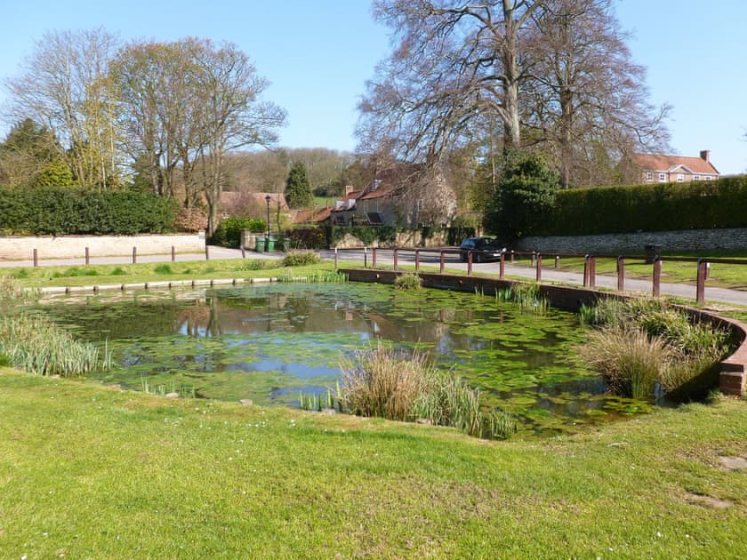 Duck pond just opposite the cottage | Pond View Cottage, Brantingham, near Beverley
