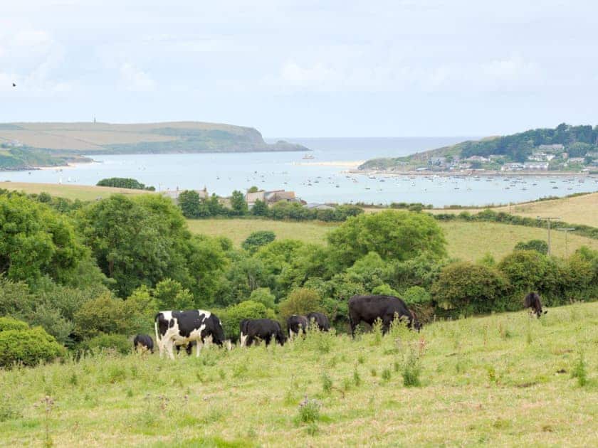 Surrounding area | The Linhay, St Issey, Wadebridge