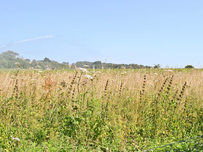 View | Grey Ladies, East Beckham, nr. Sheringham