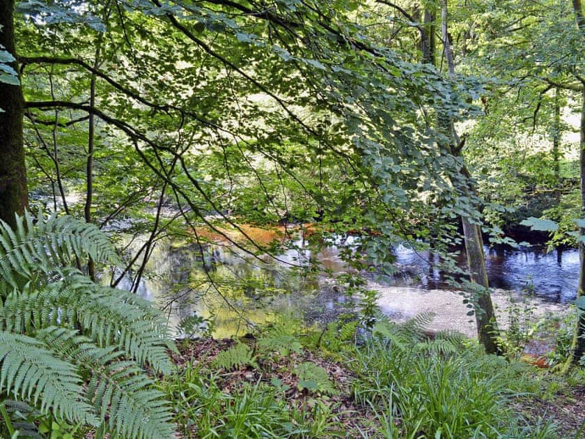 Local estate scenery | Gardener’s Cottage, Palnure near Newton Stewart