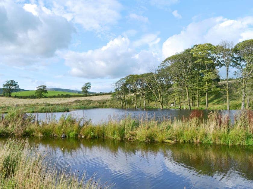 Surrounding area | The Den, Selside near Kendal