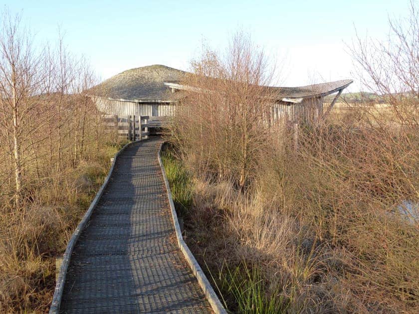 Cons Caron nature reserve | Glan Gors, Tregaron