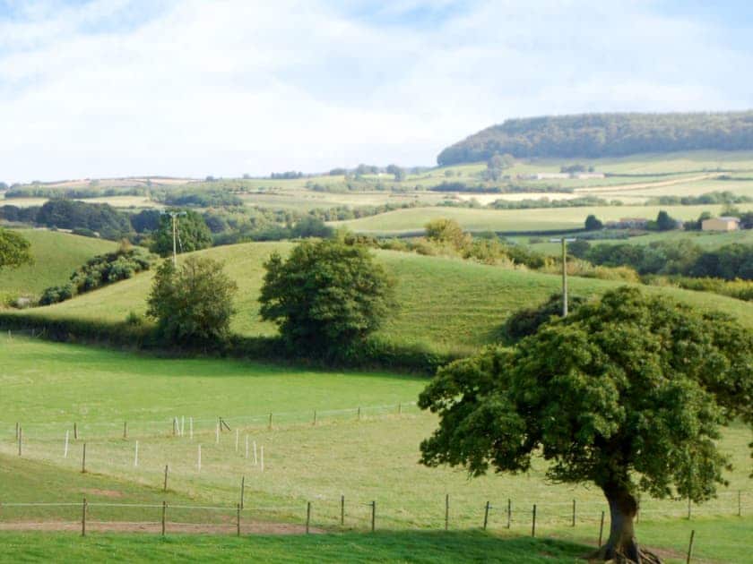 View | Ellis Close Farm - Swallows Nest, Harwood Dale, nr. Scarborough