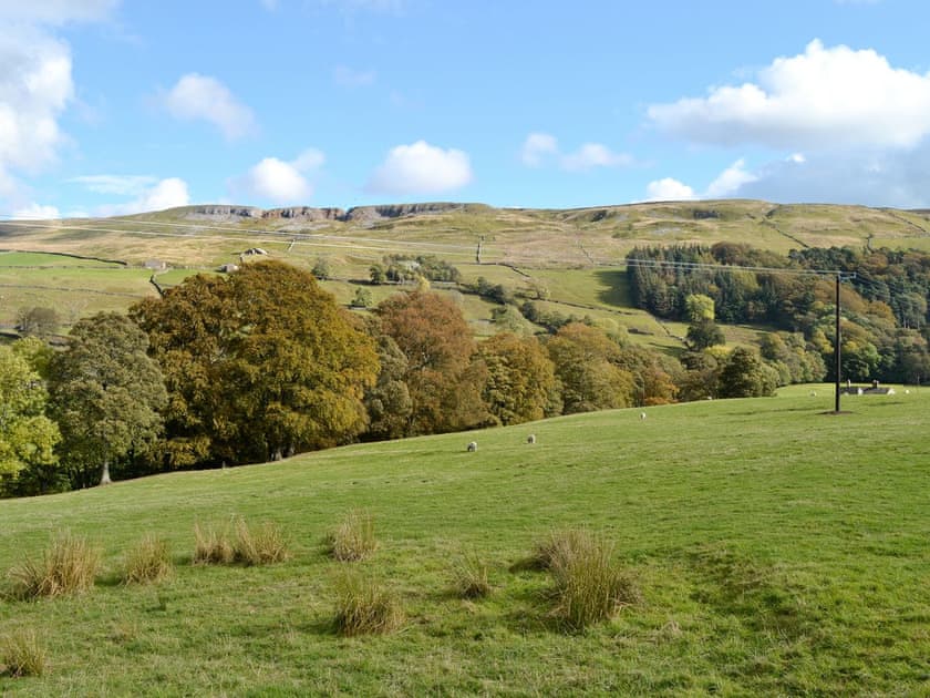 View | No 1 Swallowholm Cottages, Arkengarthdale