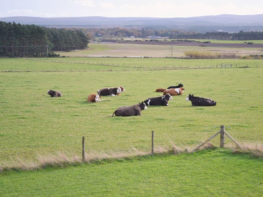 View | Ard Garraidh, Ardersier
