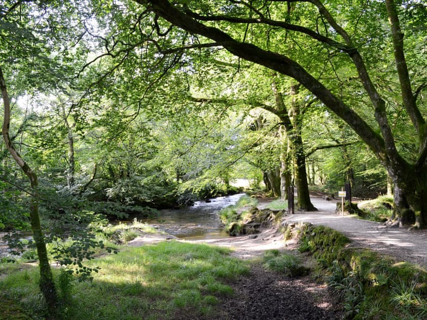 Golitha Falls | Trecarne Cottage, St Cleer, nr. Liskeard