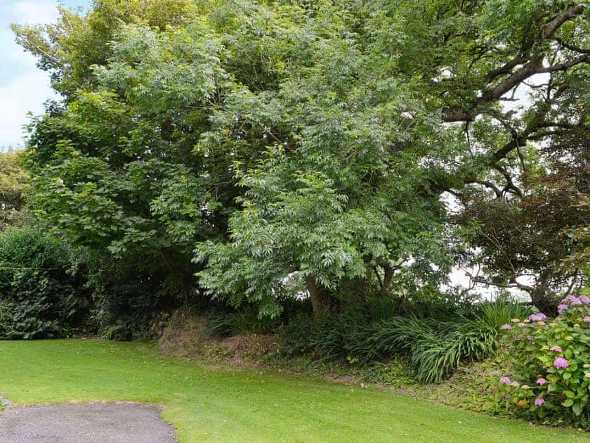 Garden | Old Dairy, St Juliot, nr. Boscastle