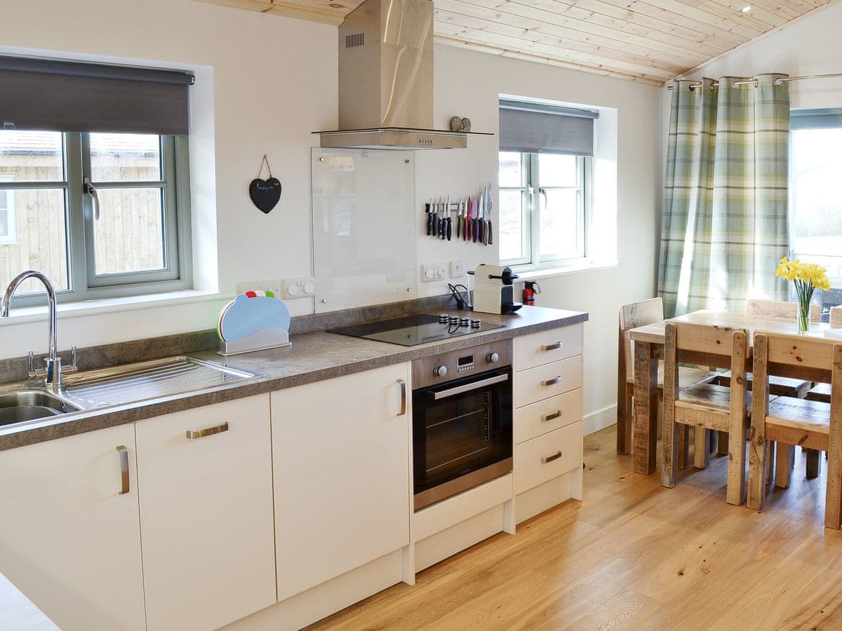 Little Owl Lodge - Holiday lodge in South West England - Image 5