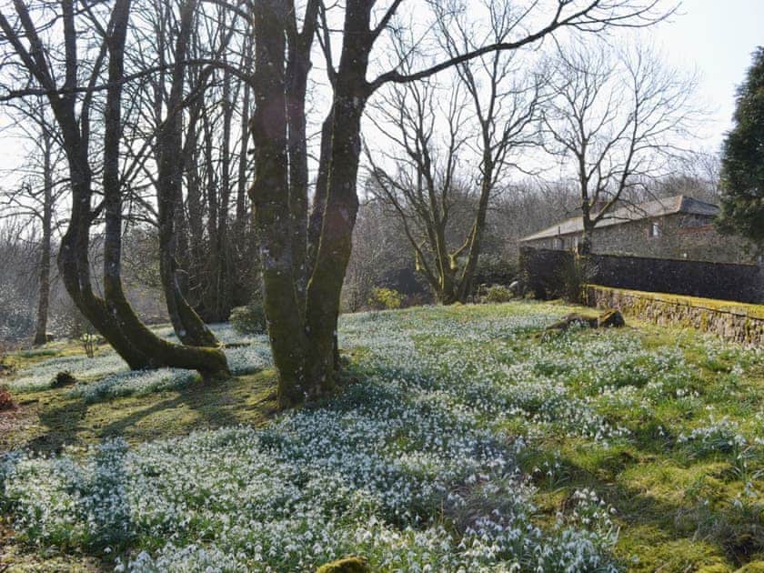 Garden and grounds | The Old Stables, High Ireby