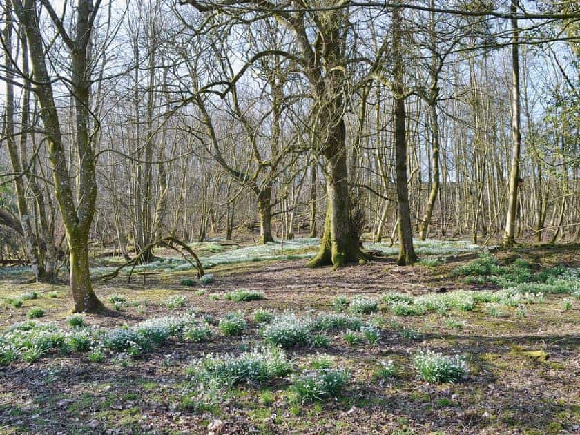 Garden and grounds | The Old Stables, High Ireby