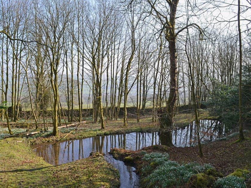 Garden and grounds | The Old Stables, High Ireby