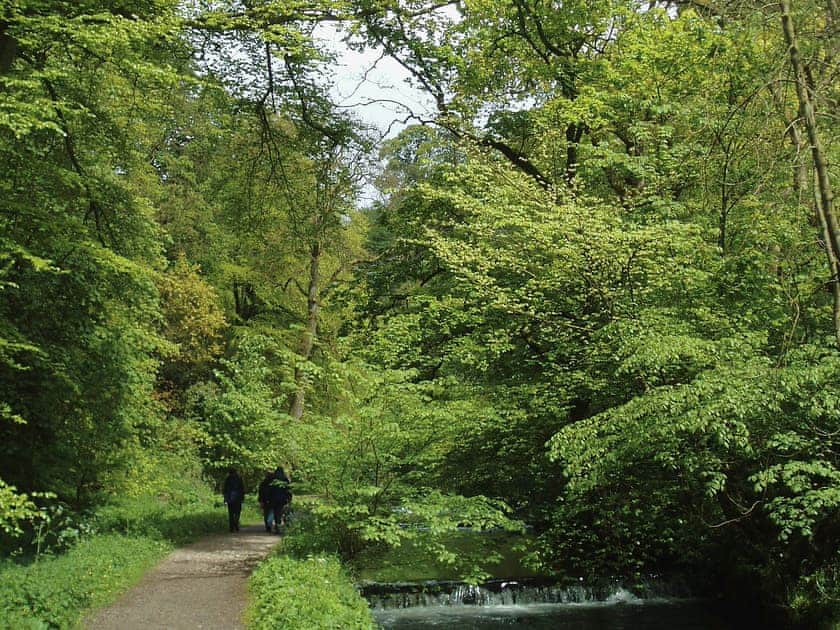 Surrounding area | Wolfscote Grange Farm - Wolfscote Cottage, Hartington