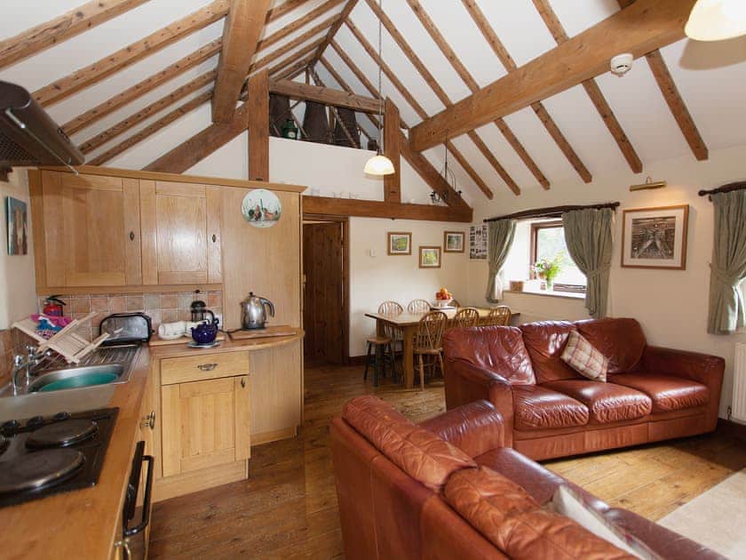 Open plan living/dining room/kitchen | Wolfscote Grange Farm - Swallows Return, Hartington