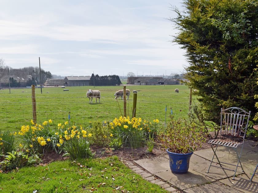 Garden | Searchlight Cottage, Fraisthorpe, nr. Bridlington
