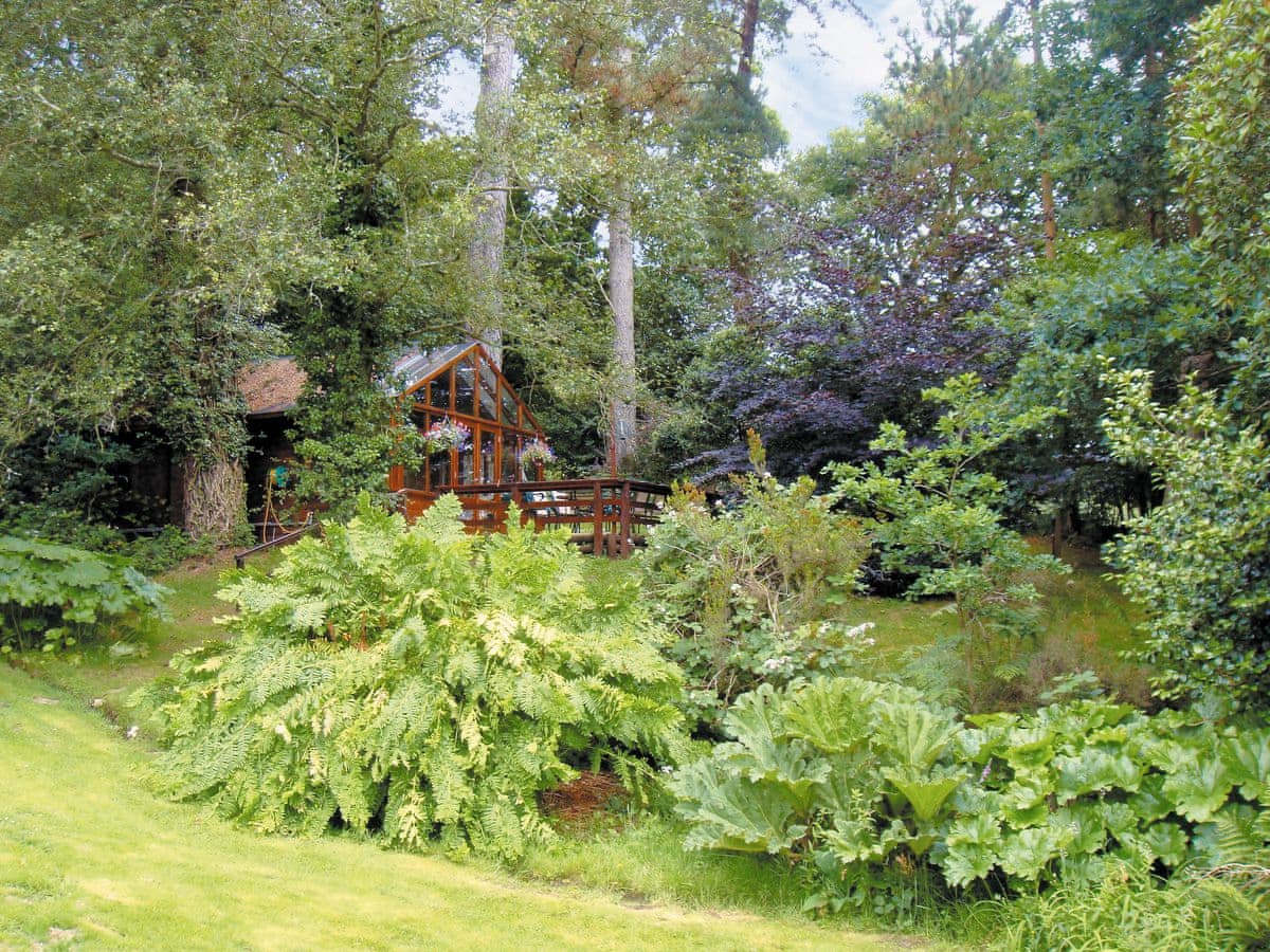Forest Lodge