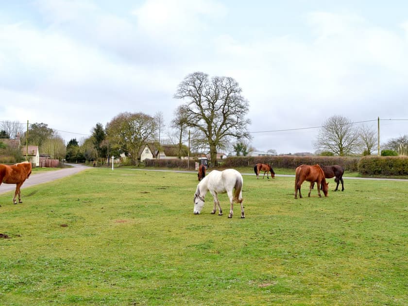Village green, 2  | Forest Lodge, Furze Hill, nr. Fordingbridge