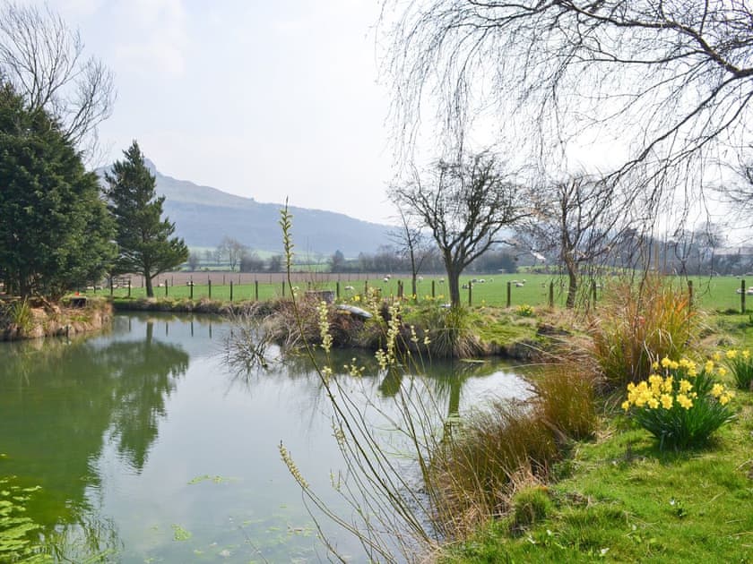 Garden and grounds | The Byre, Newton under Roseberry near Great Ayton