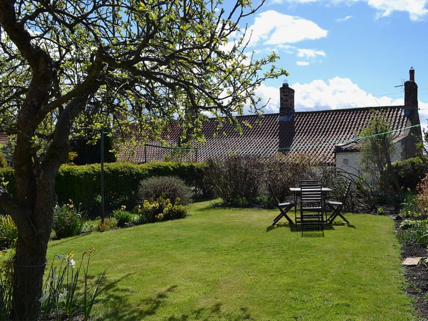 Garden | Tom’s Cottage, Caldwell, nr. Richmond