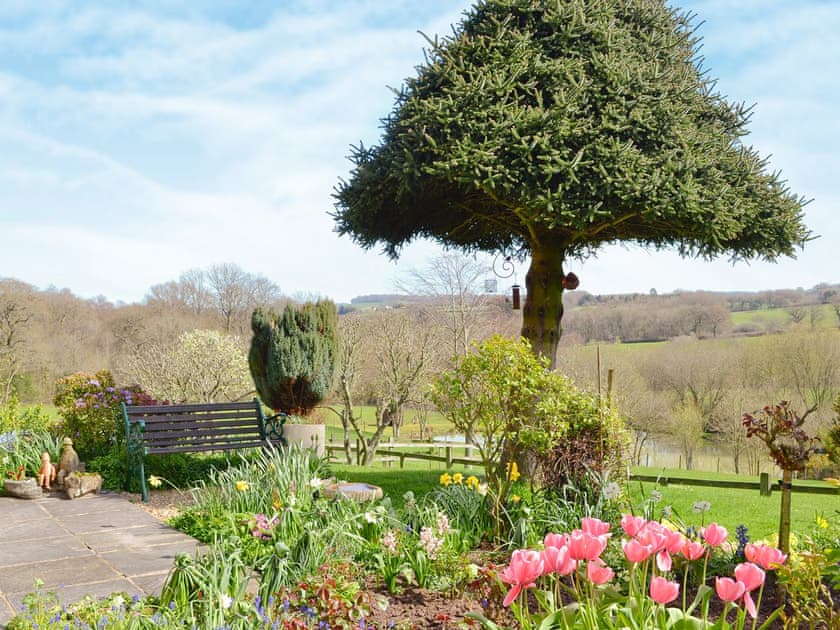 View | Rose Cottage, Cheriton Bishop, nr. Exeter