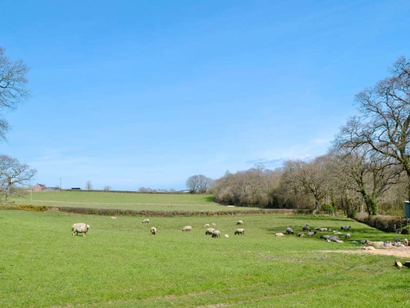 Surrounding area | Rose Cottage, Cheriton Bishop, nr. Exeter