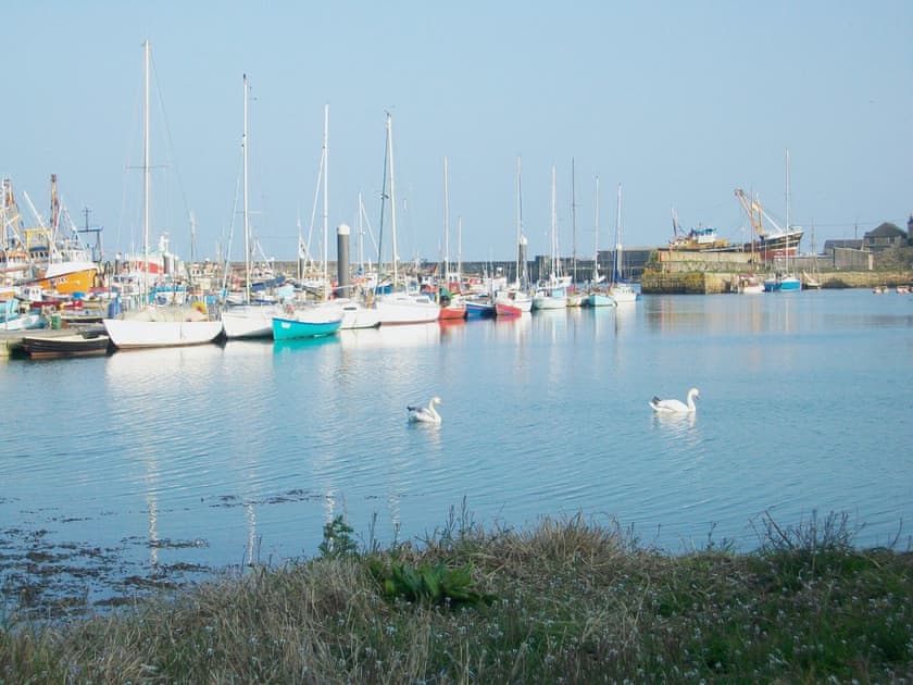 Newlyn Harbour | Harbour Lights, Newlyn, nr. Penzance