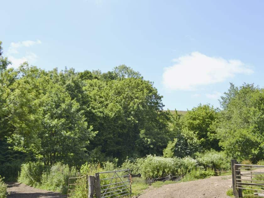 Surrounding area | The Granary, Tiverton