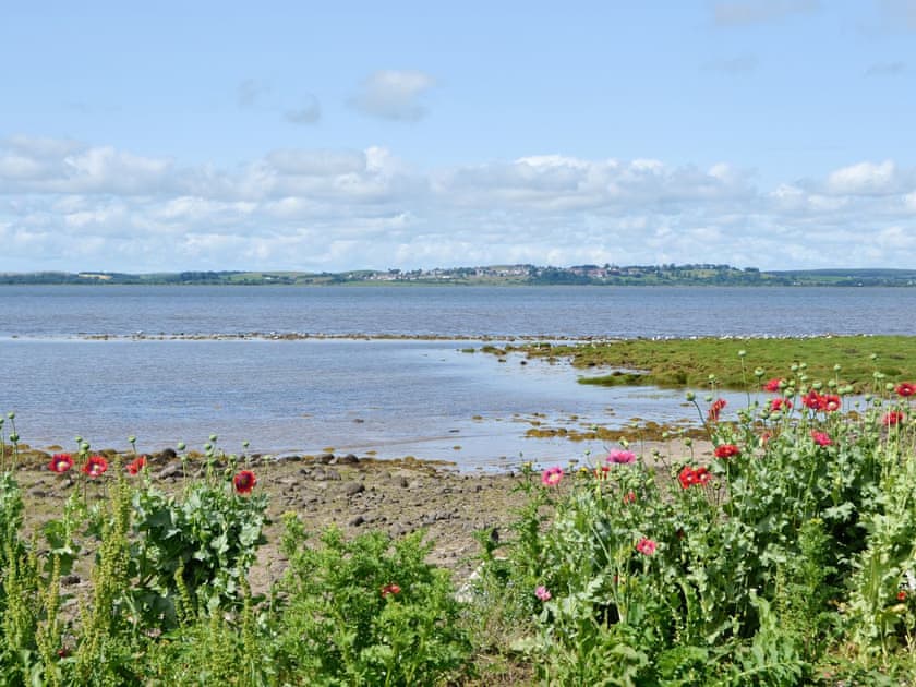 View | Shore Cottage, Carsluith near Newton Stewart