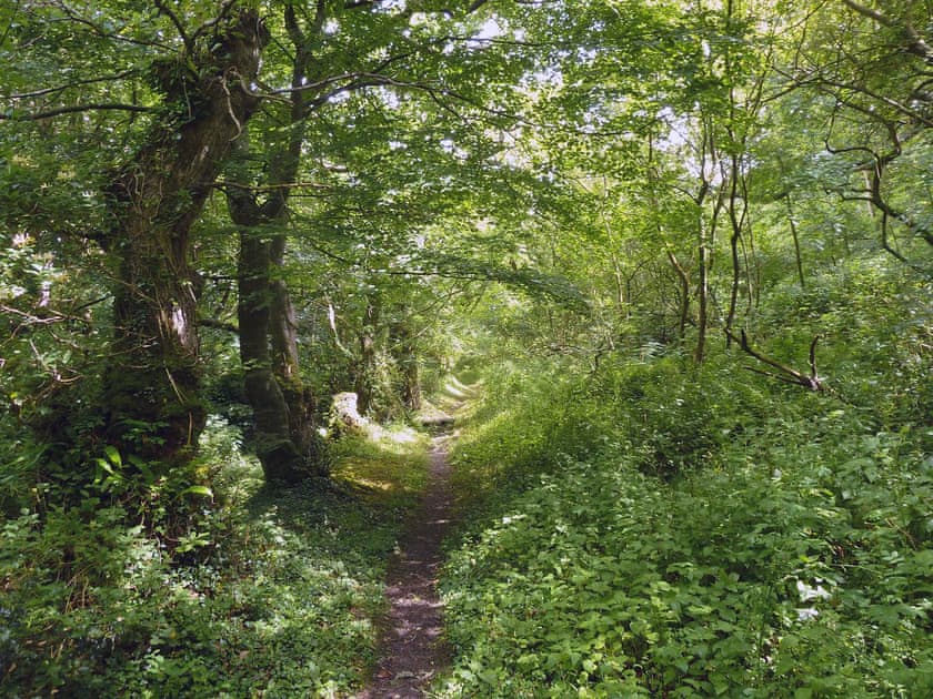 Hartland | The Square, Hartland, nr. Bideford