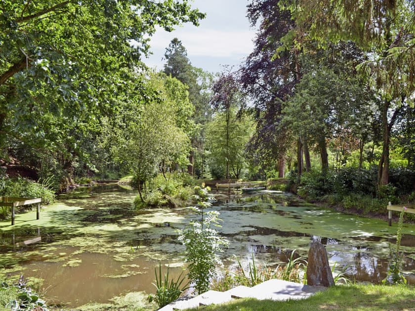 View of the lake in the grounds | Ivy Cottage, Drefach Felindre, near Newcastle Emlyn