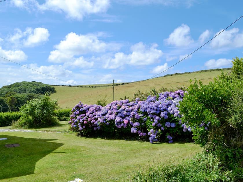 Garden | Tresquare, Boscastle