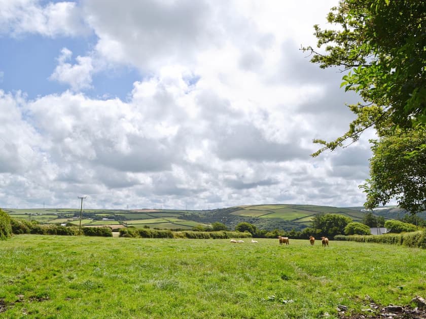 Surrounding area | Old Dairy, St Juliot, nr. Boscastle