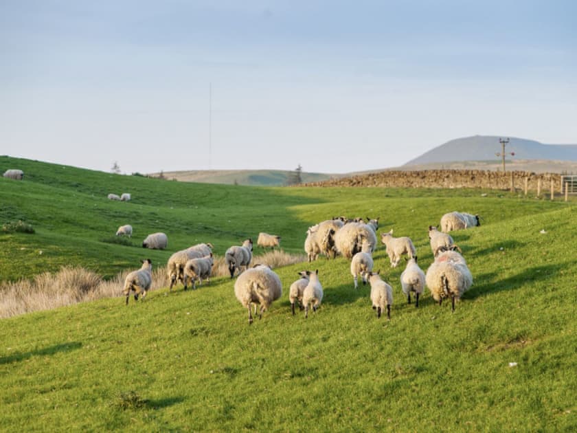 Surrounding area | Crosswoodhill Wing, Near West Calder, Edinburgh