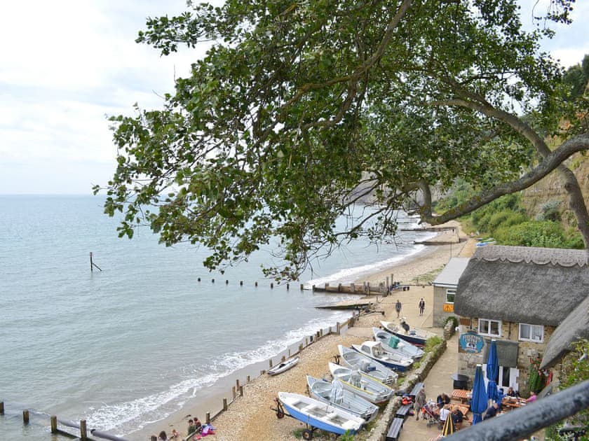 View | Chine Bluff, Shanklin
