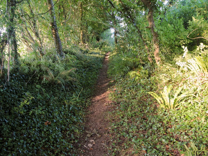 Surrounding area | Passion Flower Cottage, Dippertown, nr. Tavistock