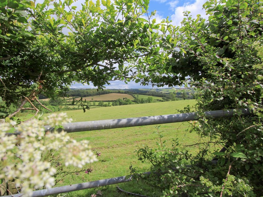 Surrounding area | Passion Flower Cottage, Dippertown, nr. Tavistock