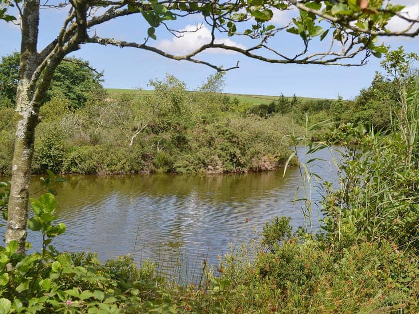 Garden and grounds | Little Owl Lodge, St Columb, nr. Padstow