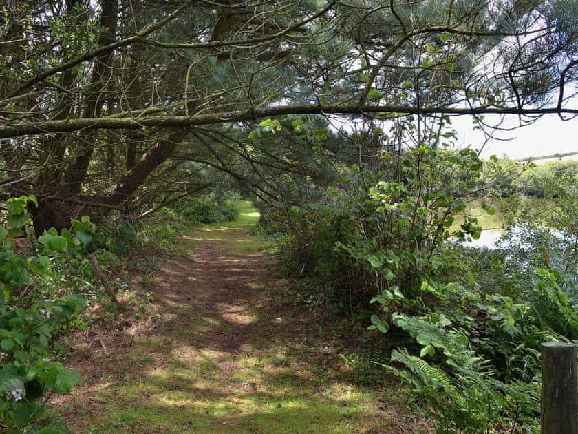 Garden and grounds | Little Owl Lodge, St Columb, nr. Padstow