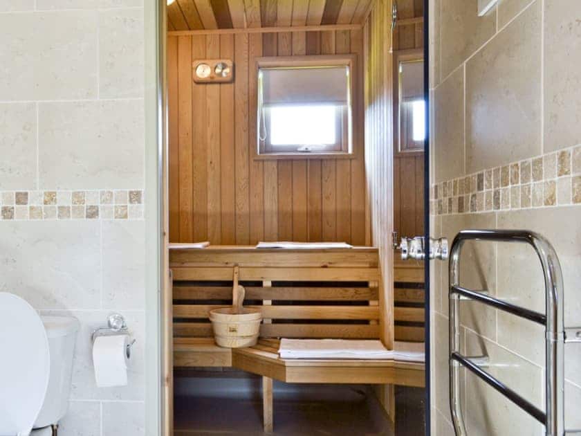 Wetroom and Sauna | Mill Race Lodges - Lodge 1, Llangunllo nr. Knighton