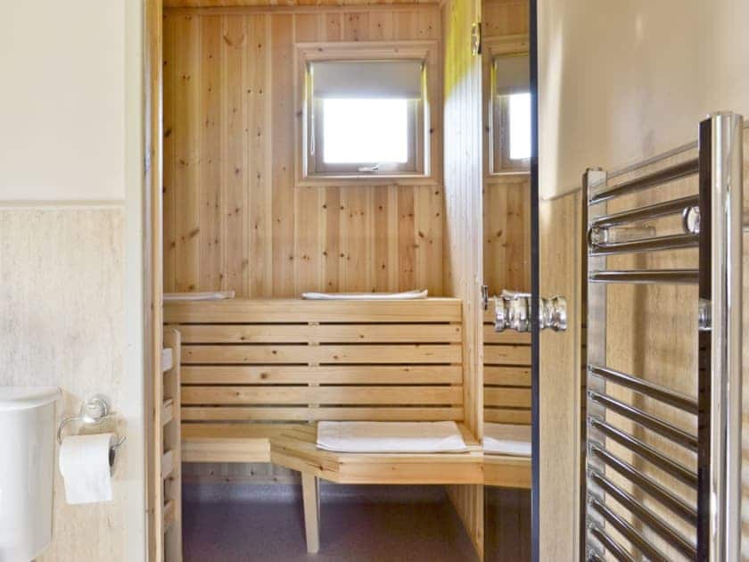 Wetroom and sauna | Mill Race Lodges - Lodge 2, Llangunllo nr. Knighton